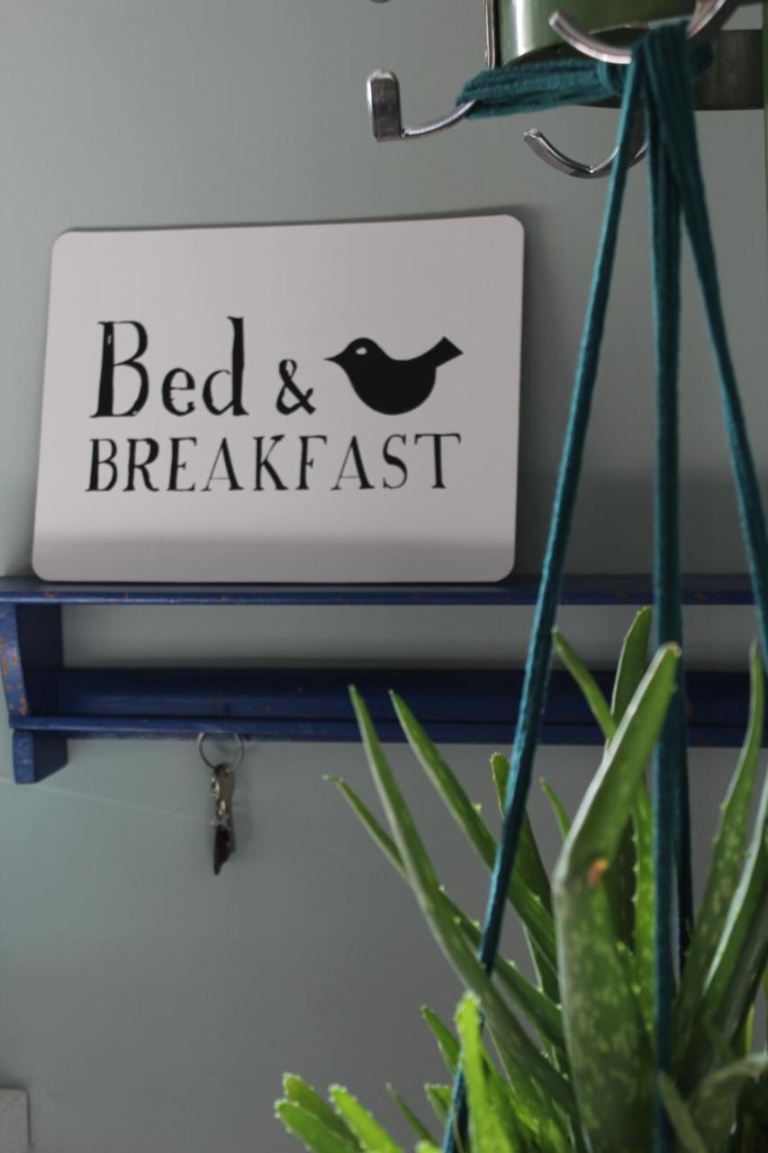Het Aambeeld Bed & Breakfast Wanroij Exterior photo